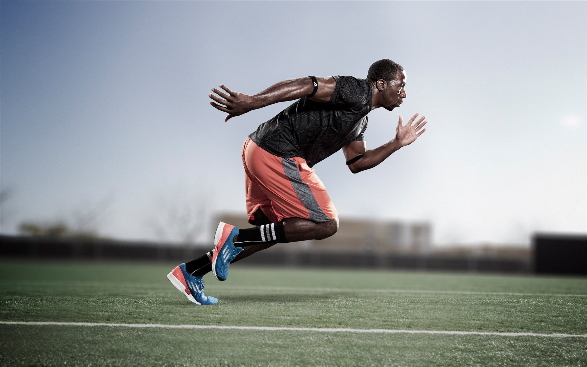 开云平台-街道上的极速与球场上的逆袭,F1迈阿密激战与猛龙惊天翻盘